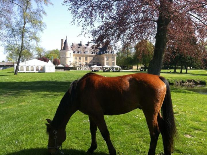Chateau De Berticheres Chaumont-en-Vexin Εξωτερικό φωτογραφία